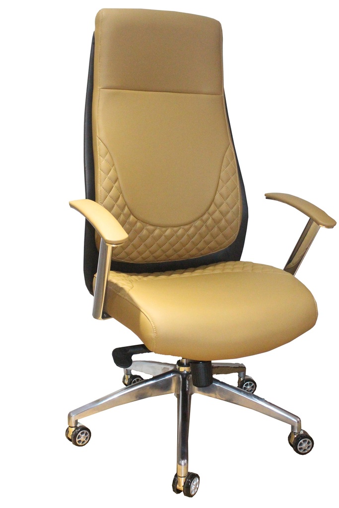 Fauteuil Ergonomique FE-5003A